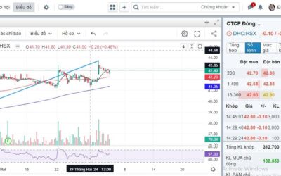 Cổ phiếu DHC: Thông tin chung, Đặc điểm tài chính, Tiềm năng tăng trưởng và Chiến lược đầu tư