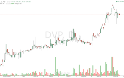 Cổ phiếu DVP: Thông tin doanh nghiệp, Chỉ số tài chính, Tiềm năng tăng trưởng và Chiến lược đầu tư