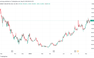 Cổ phiếu EVS: Thông tin, Chỉ số tài chính, Đánh giá và Chiến lược đầu tư