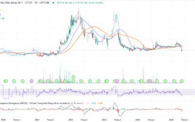 Cổ phiếu FIC: Thông tin, Đặc điểm, Định giá và Chiến lược đầu tư