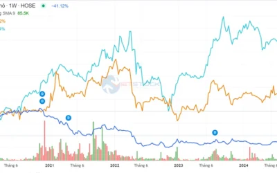 Cổ phiếu NNC: Thông tin doanh nghiệp, Chỉ số tài chính, Chính sách cổ tức và Nhận định đầu tư