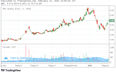 Cổ phiếu QBS: Thông tin, Đặc điểm, Tiềm năng và Lưu ý đầu tư