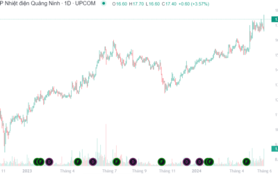 Cổ phiếu QTP: Thông tin doanh nghiệp, Chỉ số tài chính, Tiềm năng và Chính sách cổ tức