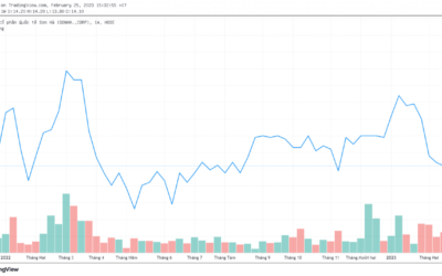Cổ phiếu SHI: Thông tin, Đặc điểm, Công dụng và Chiến lược đầu tư