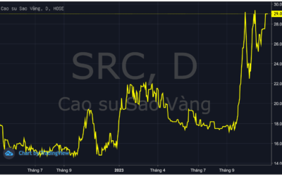 Cổ phiếu SRC: Thông tin doanh nghiệp, Chỉ số tài chính, Tiềm năng đầu tư và Rủi ro