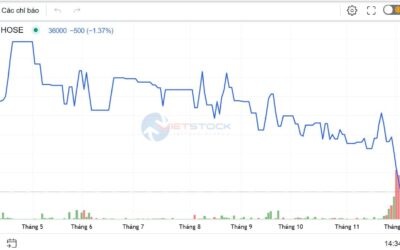 Cổ phiếu SVI: Thông tin doanh nghiệp, Đặc điểm tài chính, Định giá và Chiến lược đầu tư