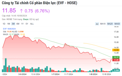 Cổ phiếu tài chính điện lực: Thông tin, Đặc điểm, Phân loại và Cách đầu tư