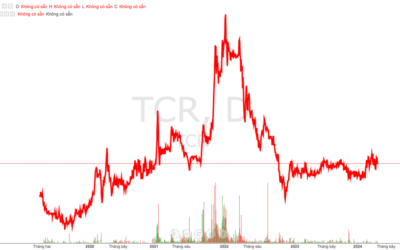 Cổ phiếu TCR: Thông tin doanh nghiệp, Đặc điểm cổ phiếu, Hiệu quả kinh doanh và Chiến lược đầu tư