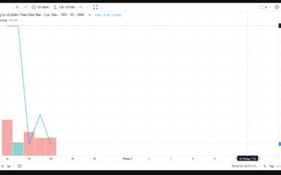 Cổ phiếu TD6: Thông tin, Đặc điểm, Hiệu suất và Chiến lược đầu tư
