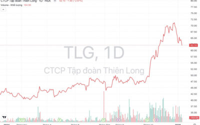 Cổ phiếu TLG: Thông tin doanh nghiệp, Đặc điểm tài chính, Tiềm năng tăng trưởng và Chiến lược đầu tư