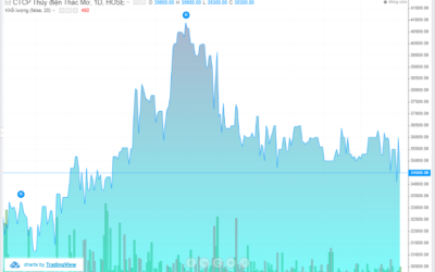Cổ phiếu TMP: Thông tin, Đặc điểm tài chính, Tiềm năng đầu tư và Cách giao dịch