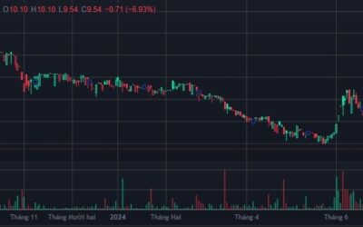 Cổ phiếu TMT: Thông tin doanh nghiệp, Đặc điểm chứng khoán, Hiệu quả kinh doanh và Triển vọng đầu tư