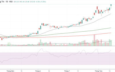 Cổ phiếu TTC: Thông tin, Đặc điểm, Tiềm năng và Cách đầu tư