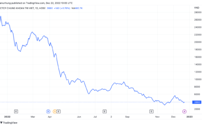 Cổ phiếu TVB: Thông tin doanh nghiệp, Chỉ số tài chính, Biến động giá và Tiềm năng đầu tư