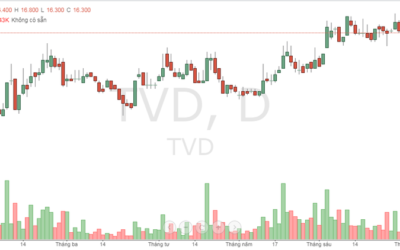 Cổ phiếu TVD: Thông tin, Đặc điểm, Định giá và Chiến lược đầu tư