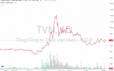 Cổ phiếu TVN: Thông tin, Đặc điểm, Tiềm năng và Lưu ý đầu tư