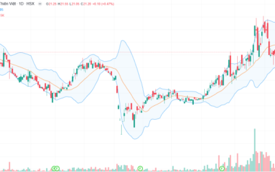 Cổ phiếu TVS: Thông tin, Chỉ số tài chính, Tiềm năng và Chiến lược đầu tư
