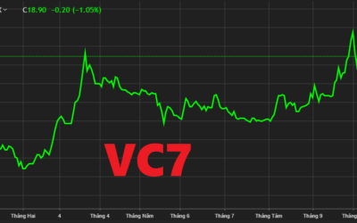 Cổ phiếu VC7: Thông tin doanh nghiệp, Chỉ số tài chính, Tiềm năng và Rủi ro đầu tư