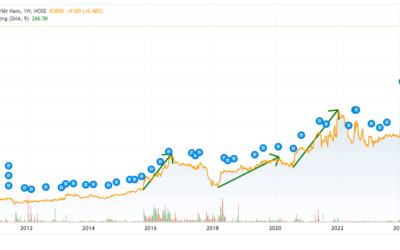Cổ phiếu VFG: Thông tin, Đặc điểm, Tiềm năng và Định giá chi tiết