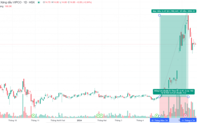 Cổ phiếu VIP: Thông tin doanh nghiệp, Đặc điểm tài chính, Tiềm năng và Cách đầu tư hiệu quả