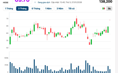 Cổ phiếu VVS: Thông tin doanh nghiệp, Đặc điểm tài chính, Tiềm năng đầu tư và Rủi ro