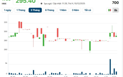 Cổ phiếu WCS: Thông tin doanh nghiệp, Đặc điểm tài chính, Tiềm năng cổ tức và Chiến lược đầu tư