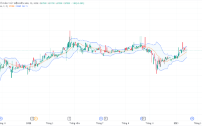 Cổ phiếu SHP: Thông tin niêm yết, Đặc điểm tài chính, Chính sách cổ tức và Tiềm năng đầu tư