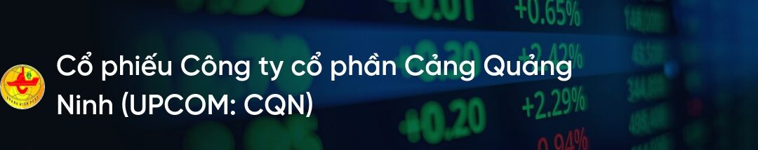 Cổ phiếu CQN: Thông tin, Đặc điểm, Tiềm năng và Cách đầu tư