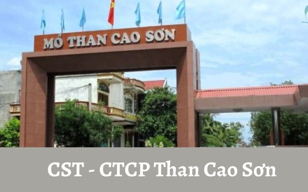 Cổ phiếu CST: Thông tin doanh nghiệp, Hiệu quả kinh doanh, Lịch sử cổ tức và Chiến lược đầu tư