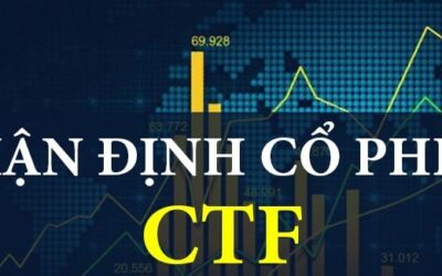Cổ phiếu CTF: Thông tin, Đặc điểm, Tiềm năng và Chiến lược đầu tư