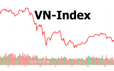 Chứng khoán VNIndex: Thông tin, Đặc điểm, Ý nghĩa và Cách vận hành