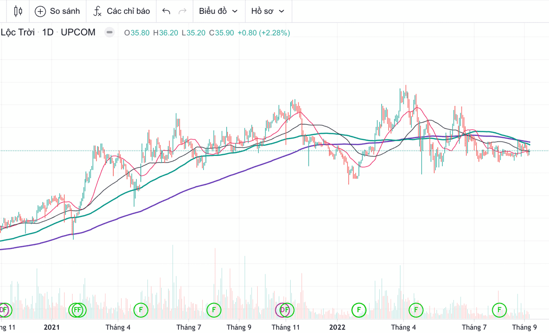 Cổ phiếu LTG: Thông tin, Đặc điểm, Công dụng và Cách đầu tư