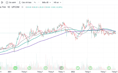Cổ phiếu LTG: Thông tin, Đặc điểm, Công dụng và Cách đầu tư