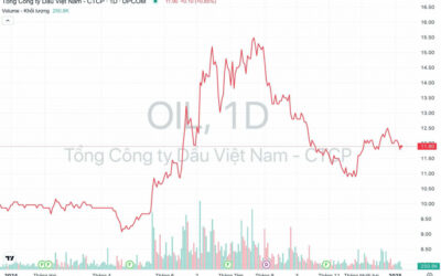 Cổ phiếu OIL: Thông tin, Đặc điểm, Tiềm năng và Chiến lược đầu tư