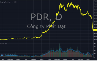 Cổ phiếu PDR: Thông tin, Đặc điểm, Vị thế và Chiến lược đầu tư