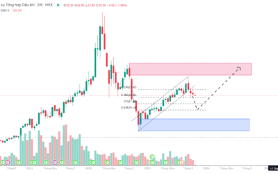 Cổ phiếu PET: Thông tin doanh nghiệp, Đặc điểm tài chính, Tiềm năng tăng trưởng và Chiến lược đầu tư