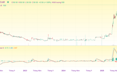 Cổ phiếu TIN: Thông tin, Đặc điểm, Tiềm năng và Lưu ý đầu tư