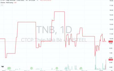Cổ phiếu TNB: Thông tin, Đặc điểm, Kết quả kinh doanh và Tiềm năng đầu tư