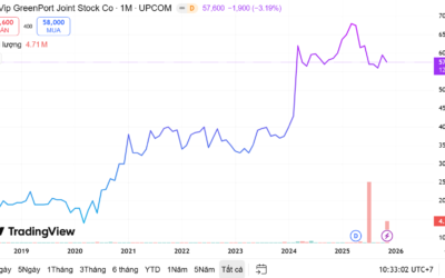 Cổ phiếu VGR: Thông tin, Chỉ số tài chính, Tiềm năng và Chiến lược đầu tư