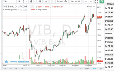 Cổ phiếu VIB: Thông tin, Đặc điểm, Chỉ số tài chính và Chiến lược đầu tư