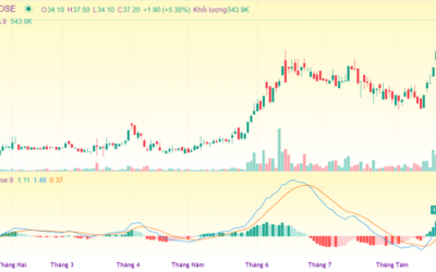 Cổ phiếu SGR: Thông tin, Đặc điểm, Tiềm năng và Cách đầu tư