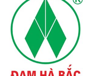 Cổ phiếu DHB: Thông tin niêm yết, Đặc điểm kinh doanh, Tiềm năng phục hồi và Lưu ý rủi ro