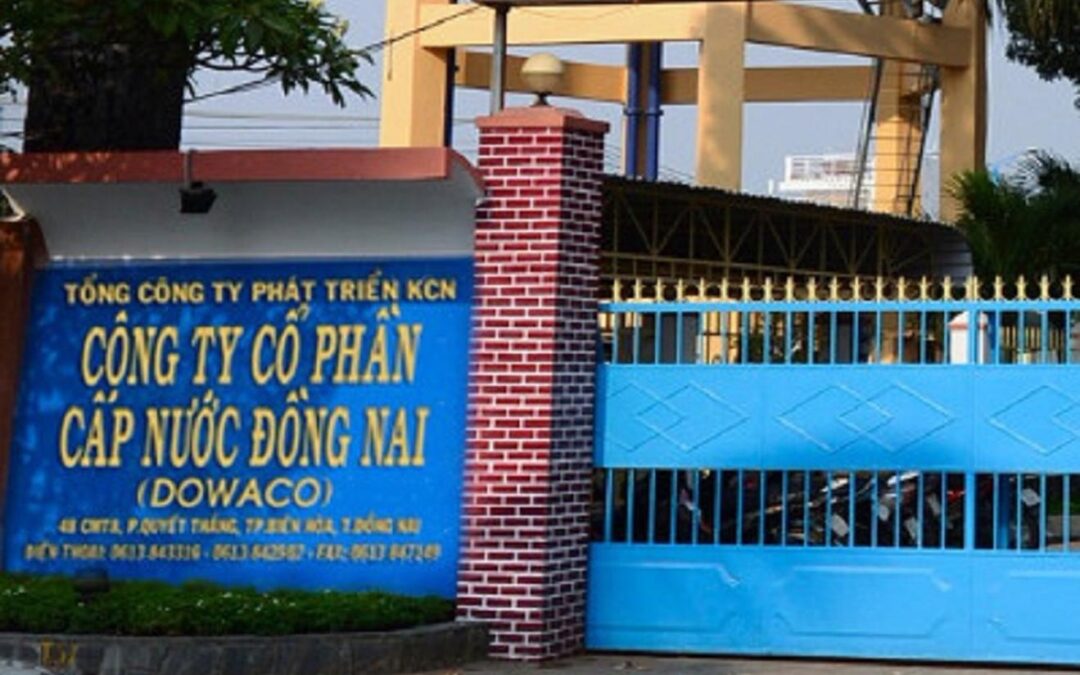 Cổ phiếu DNW: Thông tin, Chỉ số tài chính, Tiềm năng đầu tư và Phân tích chuyên sâu