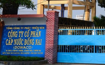 Cổ phiếu DNW: Thông tin, Chỉ số tài chính, Tiềm năng đầu tư và Phân tích chuyên sâu