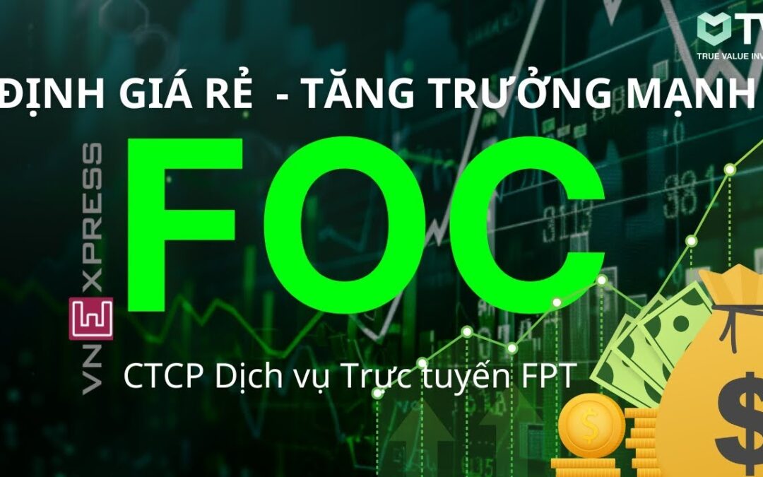 Cổ phiếu FOC: Thông tin, Chỉ số tài chính, Tiềm năng và Chiến lược đầu tư