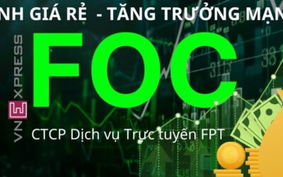 Cổ phiếu FOC: Thông tin, Chỉ số tài chính, Tiềm năng và Chiến lược đầu tư