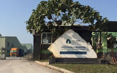 Cổ phiếu HII: Thông tin, Đặc điểm, Vị thế và Triển vọng đầu tư