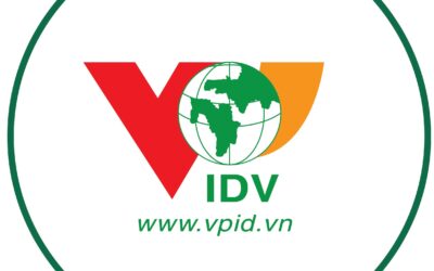 Cổ phiếu IDV: Thông tin, Đặc điểm, Hiệu quả đầu tư và Chiến lược giao dịch