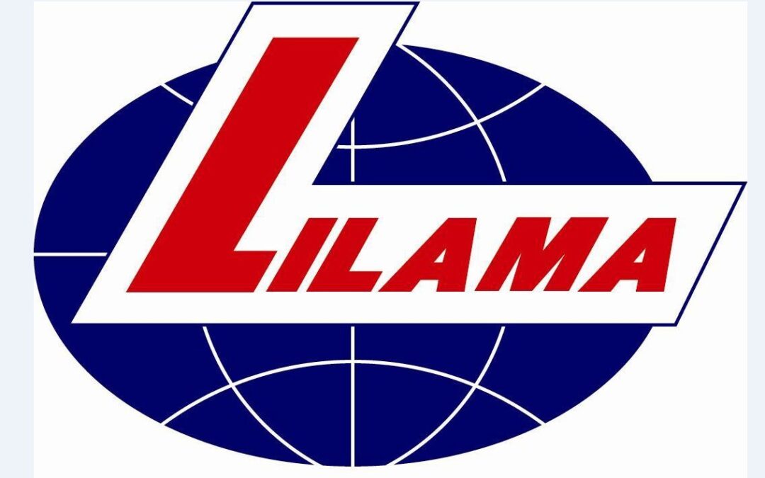 Cổ phiếu LLM: Thông tin, Đặc điểm, Hiệu quả đầu tư và Cách phân tích