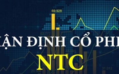Cổ phiếu NTC: Thông tin, Đặc điểm, Tiềm năng và Cách đầu tư
